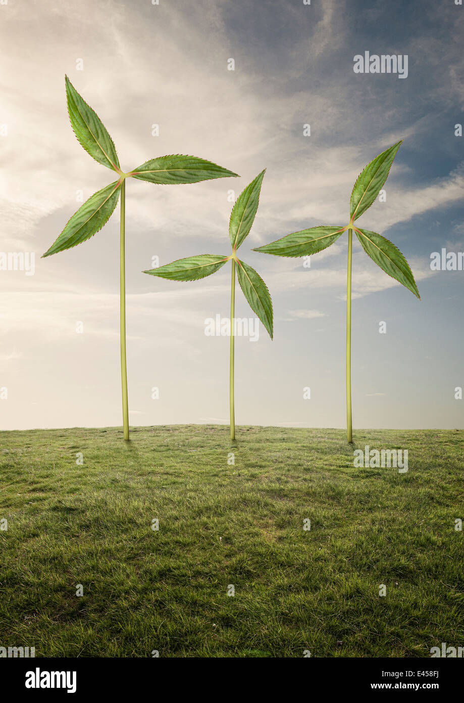 Plantas como las turbinas eólicas Foto de stock