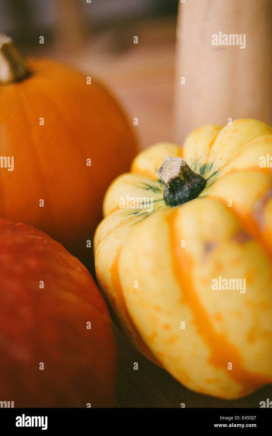 Una variedad de calabazas otoñales y zapallos listo para tallar para Halloween en spooky diseños y también para hacer las sopas y guisos Foto de stock