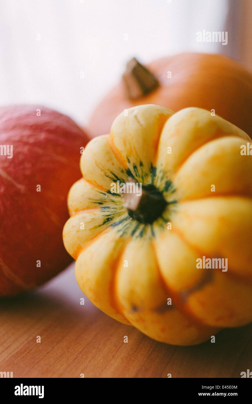 Una variedad de calabazas otoñales y zapallos listo para tallar para Halloween en spooky diseños y también para hacer las sopas y guisos Foto de stock