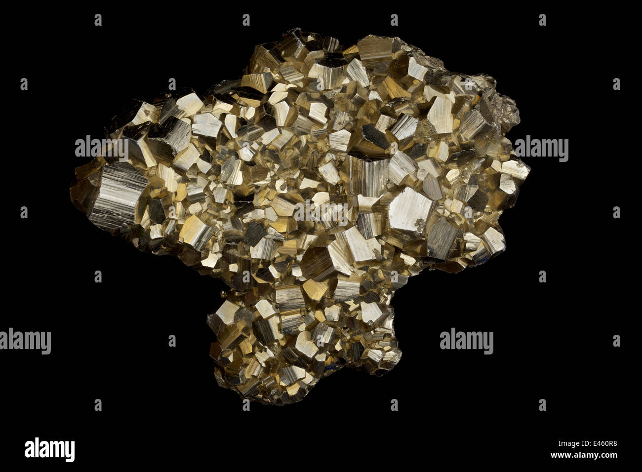 La pirita (FeS2, sulfuro de hierro), conocido como 'el oro del tonto'.  Antiguamente utilizado en la producción de ácido sulfúrico. Muestra de  concepcion de Oro, el estado de Zacatecas, México Fotografía de