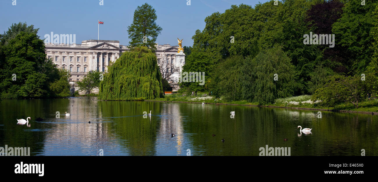 La hermosa vista del Palacio de Buckingham de St. James's Park, en Londres. Foto de stock