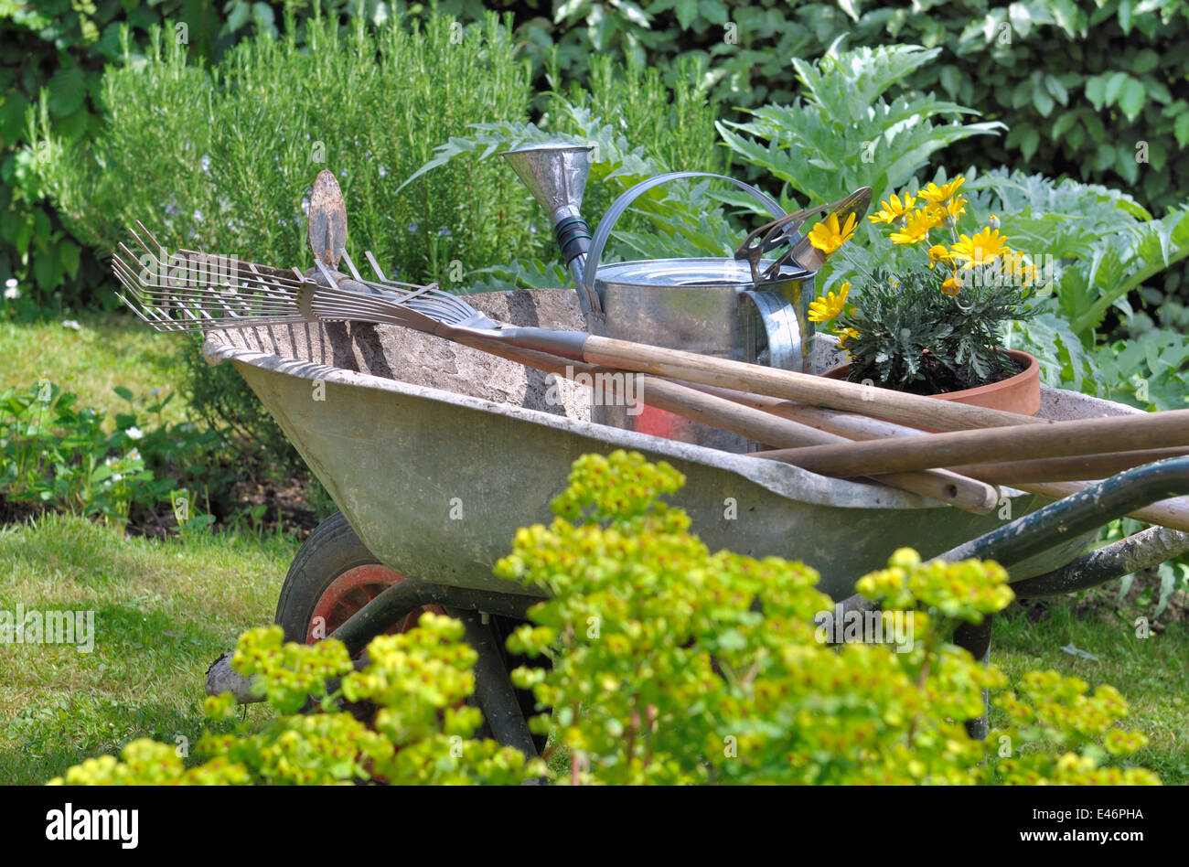 Carretilla De Jardinería Carga De Hojas Secas : Concepto De Limpieza De  Jardines Al Aire Libre Y De Temporada Foto de archivo - Imagen de rueda,  herramienta: 204979504