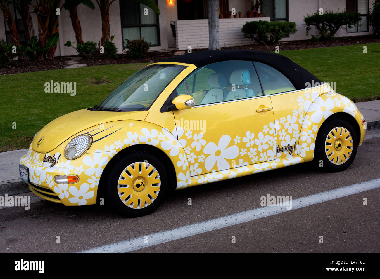 Tweety version vw beetle flower decoration fotografías e imágenes de alta  resolución - Alamy