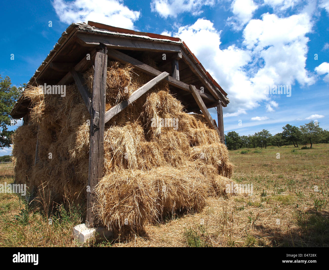 Granja de heno en las zonas rurales Istria Foto de stock