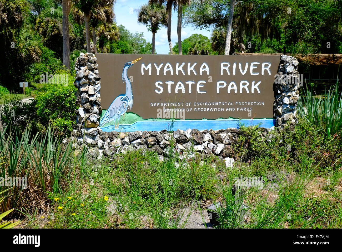 Myakka River State Park Sarasota Florida FL US EE.UU. Foto de stock
