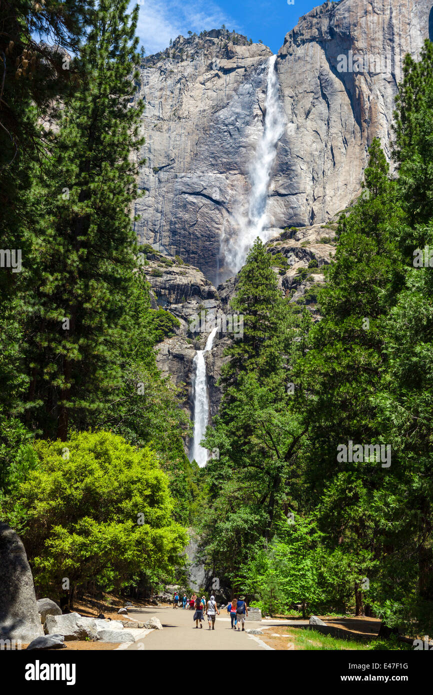 Los turistas de rastro delante de Yosemite Falls, Yosemite Valley, Yosemite National Park, Sierra Nevada, en el norte de California, EE.UU. Foto de stock
