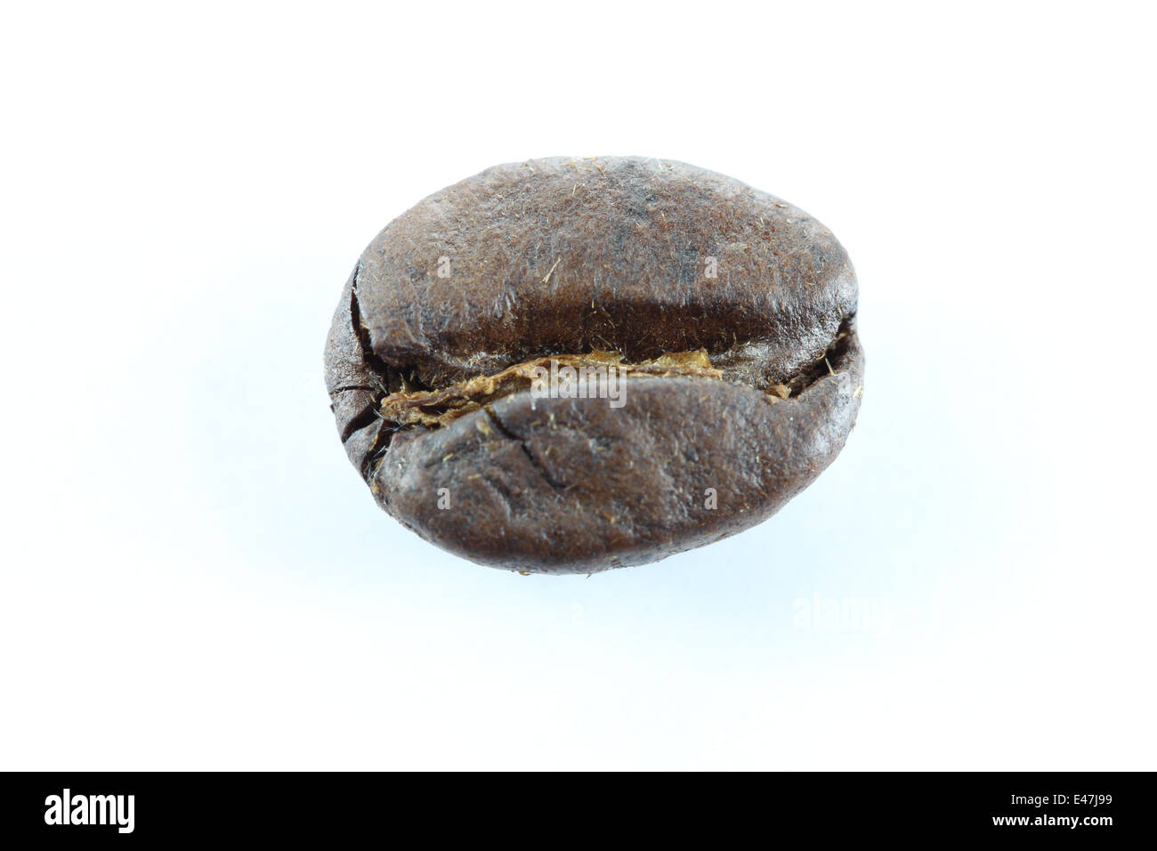 Los granos de café marrón sobre fondo blanco. Foto de stock