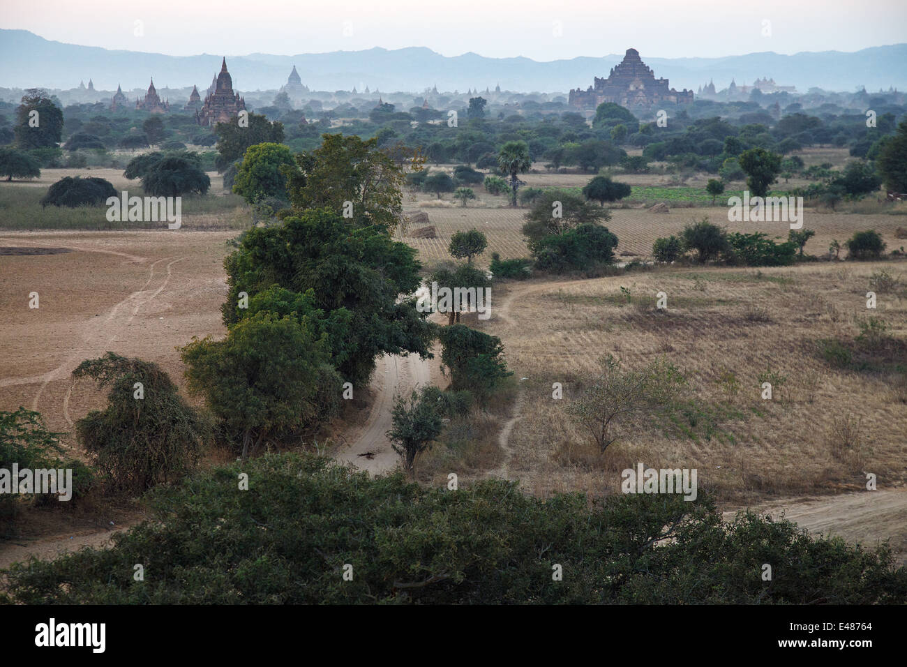 Una vista de los templos de Bagan, Myanmar (Birmania) Foto de stock