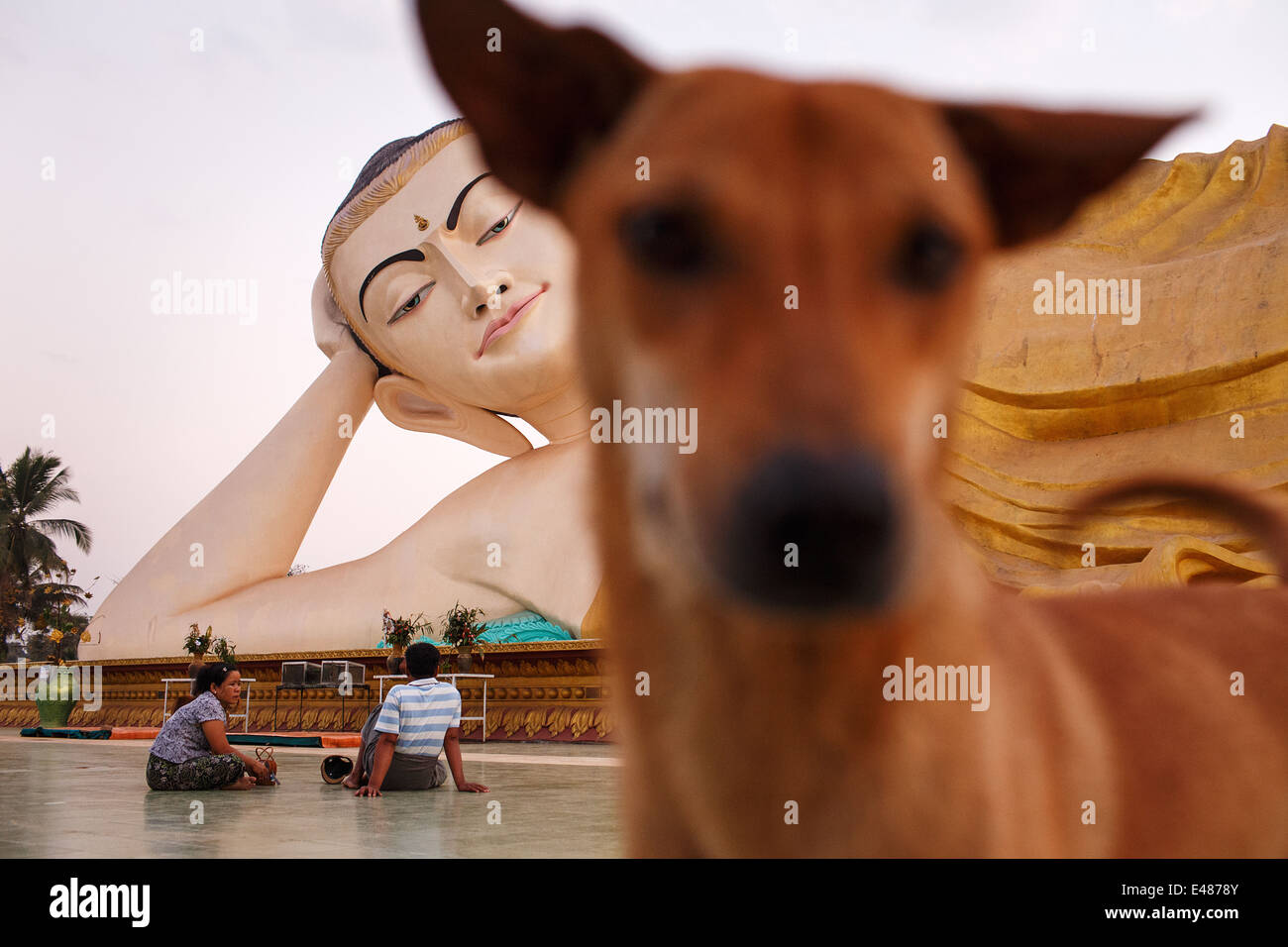 Un perro, la gente y la gran piscina Buda reclinado de Bago (Pegu), Myanmar (Birmania) Foto de stock