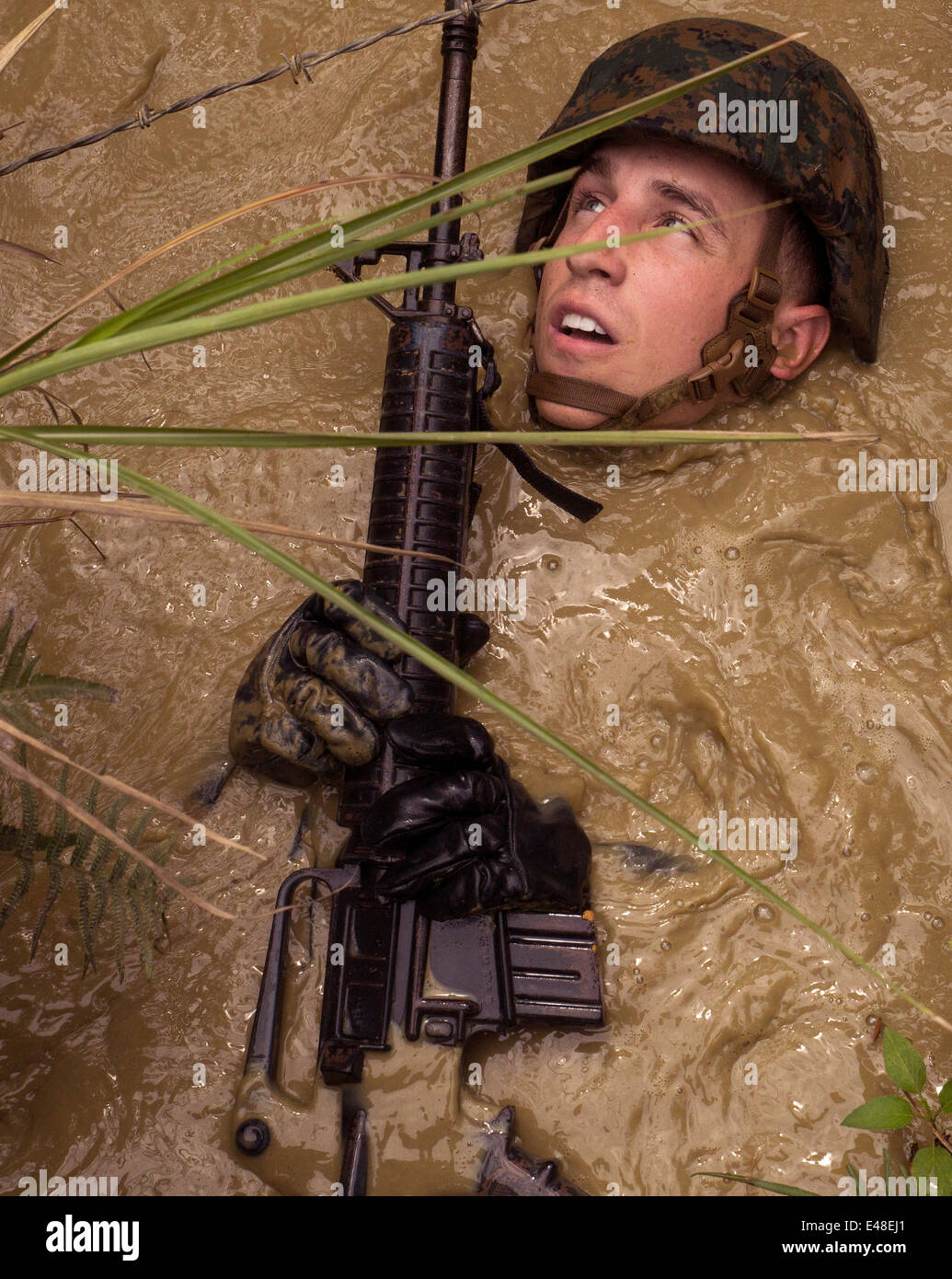 Un marine estadounidense flotan en el estancamiento de agua fangosa como él evita la alambrada plegable durante la selva endurance curso en el Centro de Entrenamiento de Guerra en la Selva de Camp Gonsalves Junio 20, 2014 en Okinawa, Japón. Foto de stock
