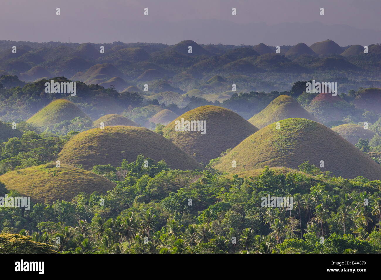 Las Colinas de Chocolate, Bohol, Filipinas, el sudeste de Asia, Asia Foto de stock