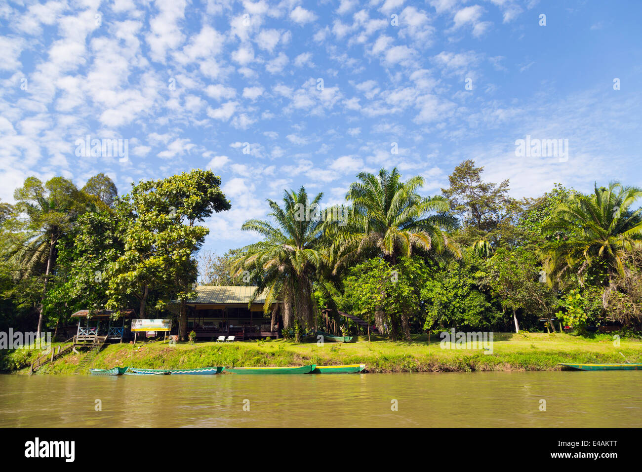 Del sudeste de Asia, el Reino de Brunei, Ula Temburong National Park Foto de stock