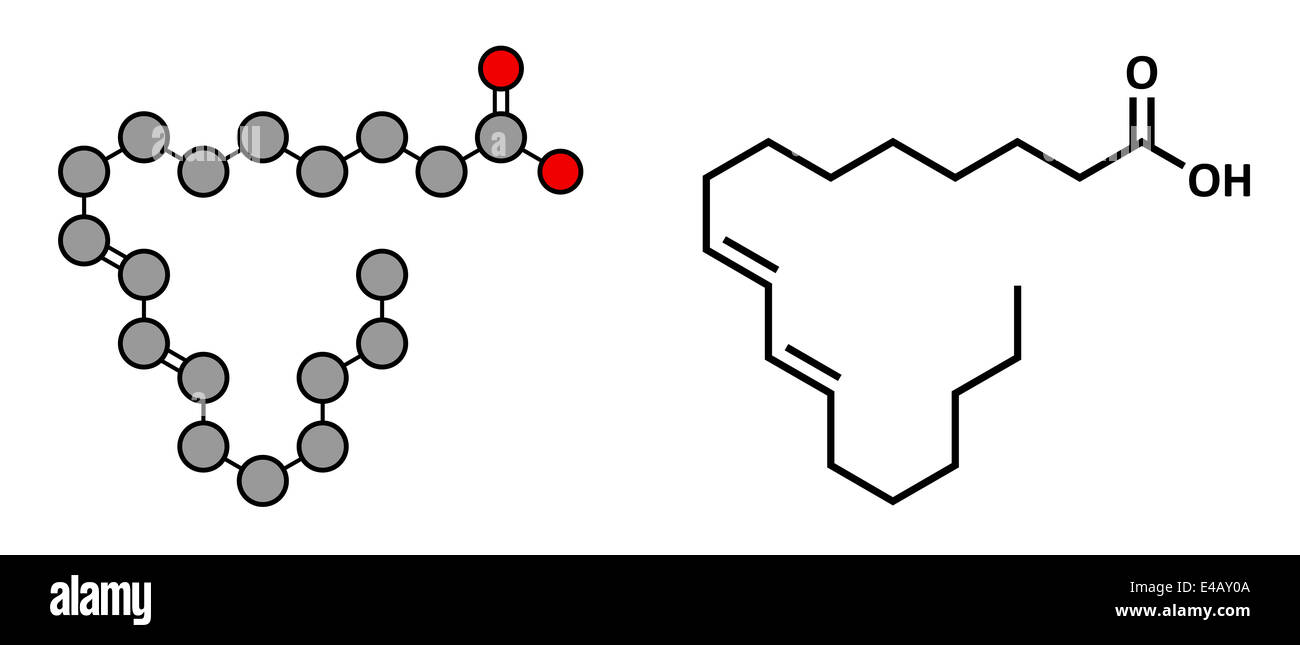 Bovinic Rumenic Acid (ácido, ácido linoleico conjugado, CLA) molécula de ácido graso Fotografía