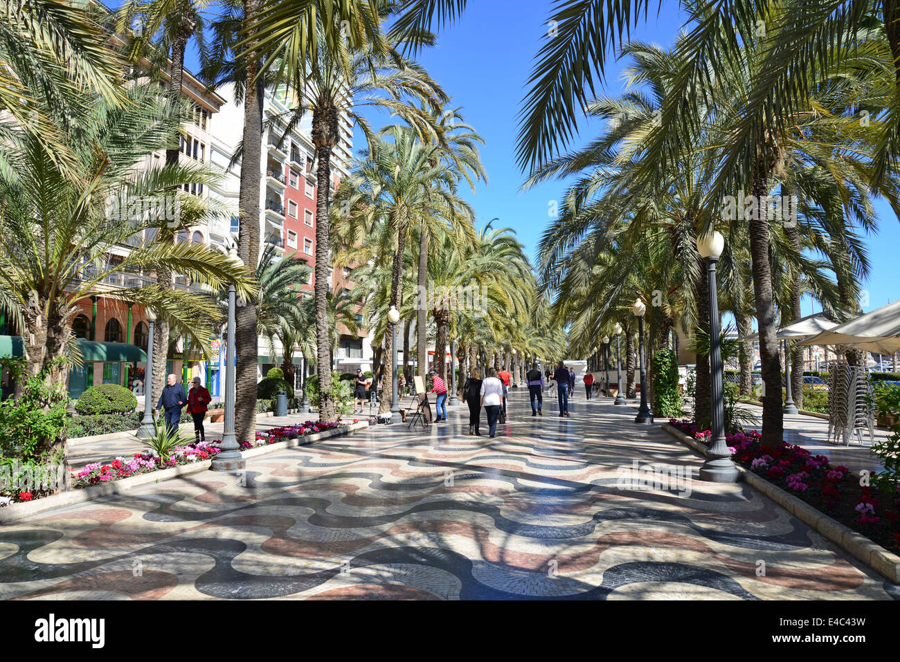 La Explanada de España, Alicante, Costa Blanca, Alicante, Provincia, Reino de España Foto de stock