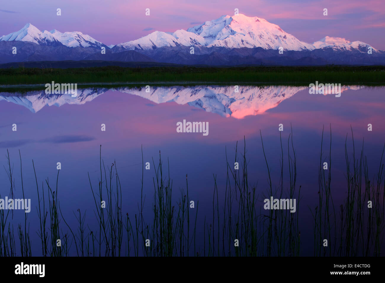 Mt. McKinley, también conocido como Denali, el Parque Nacional Denali, Alaska. Foto de stock