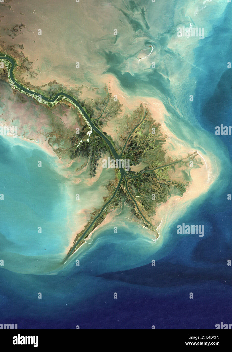 Delta del Río Misisipí, Luisiana, EE.UU., en el año 2001, Imagen de