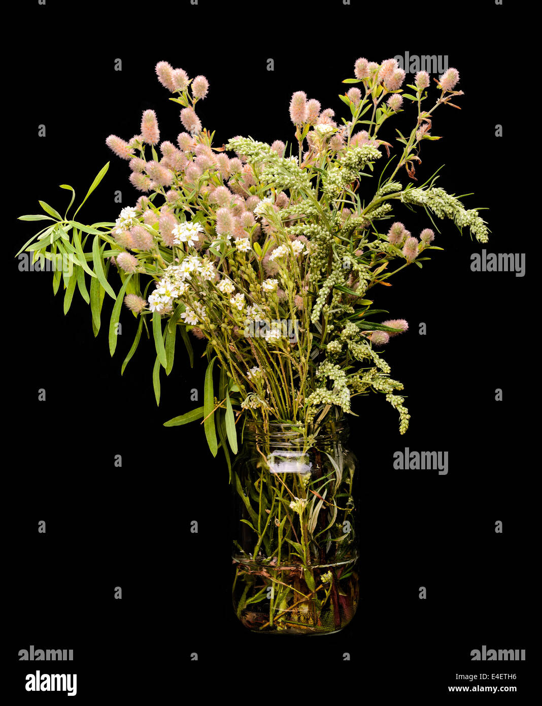 Un montón de plantas y flores silvestres de la pradera, en un frasco de vidrio, aislado sobre fondo negro Foto de stock