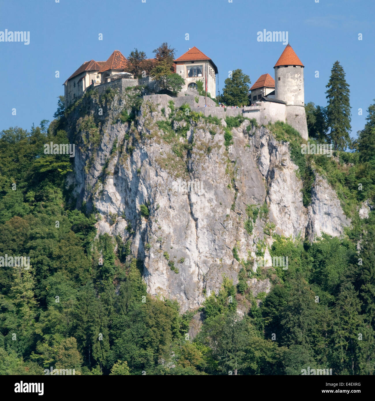 Encaramado castillo de Bled en Eslovenia. Foto de stock