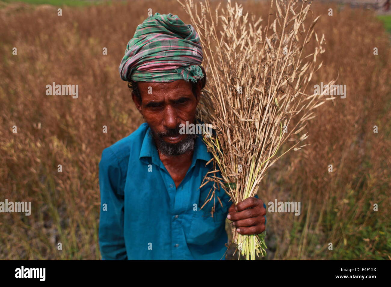 Granjero que trabajaba en sus tierras,campesino,Asia,Asia,Etnia
