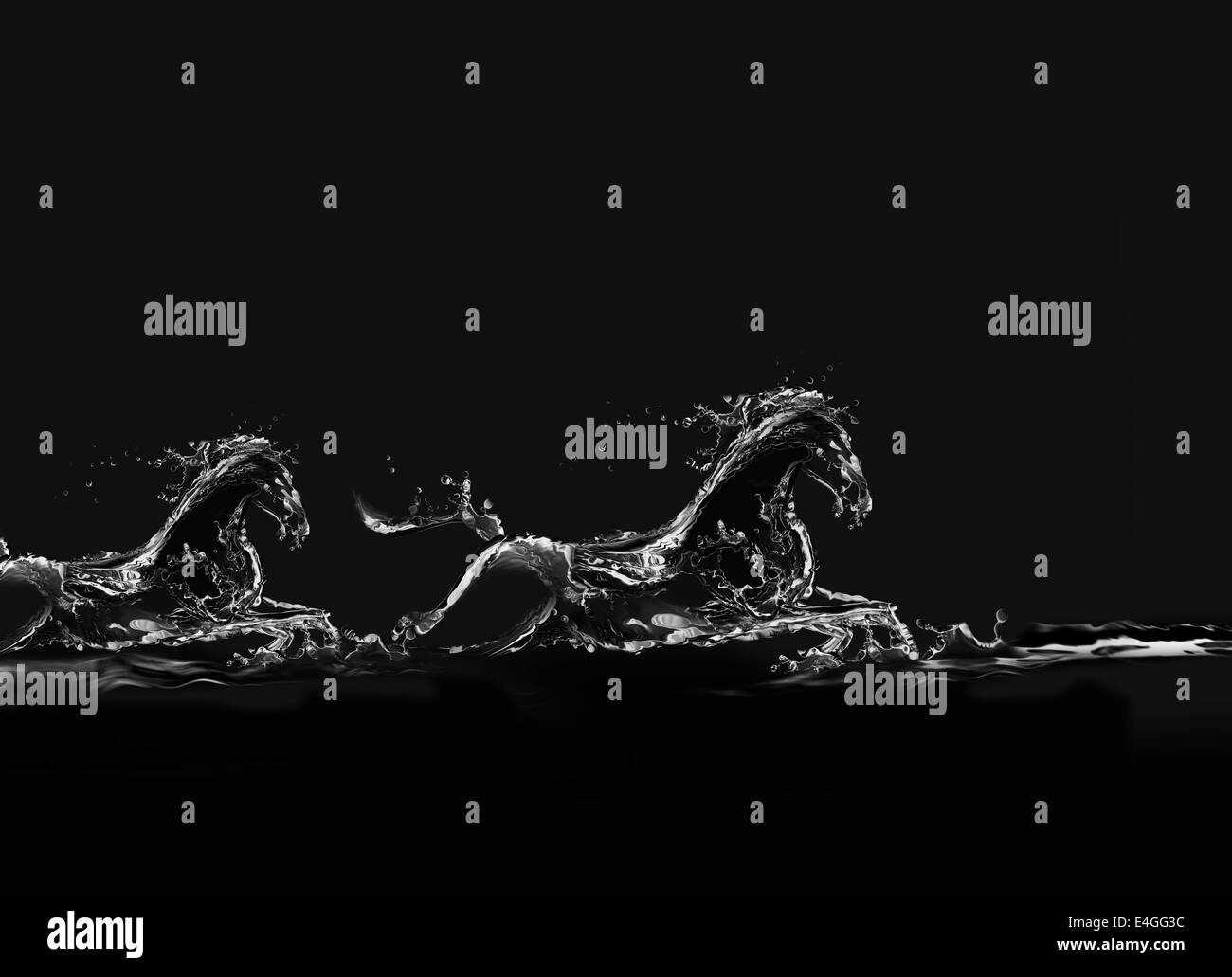 Las siluetas de dos caballos de agua sobre un fondo negro. Foto de stock