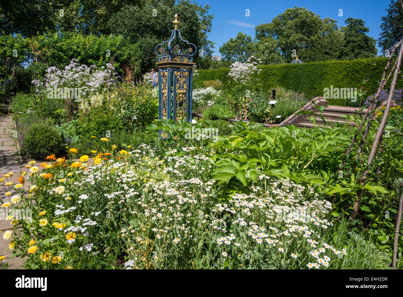 Plantas medicinales en Queen's Garden, Kew Palace, Royal Botanic Gardens de Kew, Londres, Reino Unido. Foto de stock