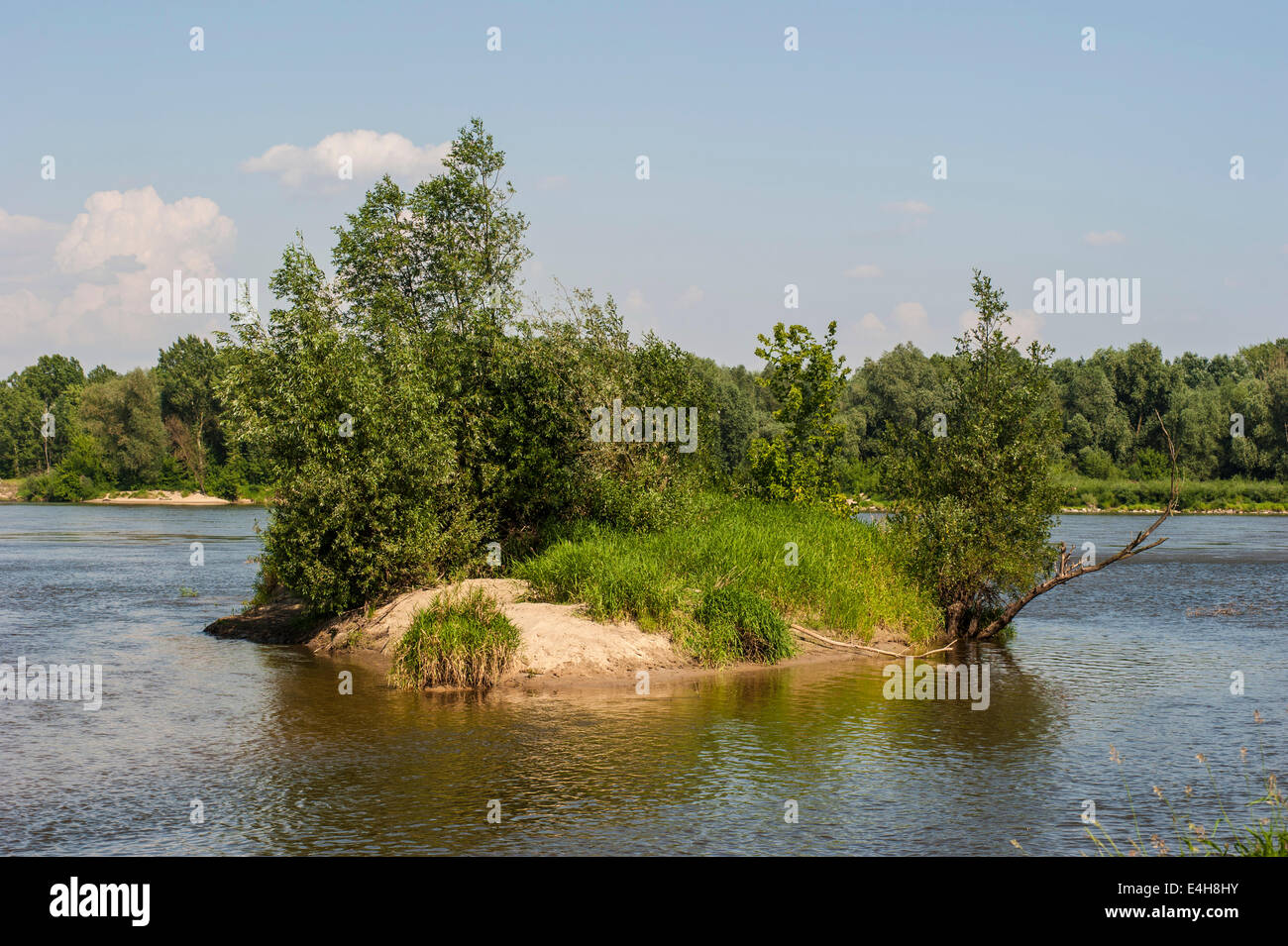 Una isla en el río Vístula, Mazovia, Polonia. Foto de stock