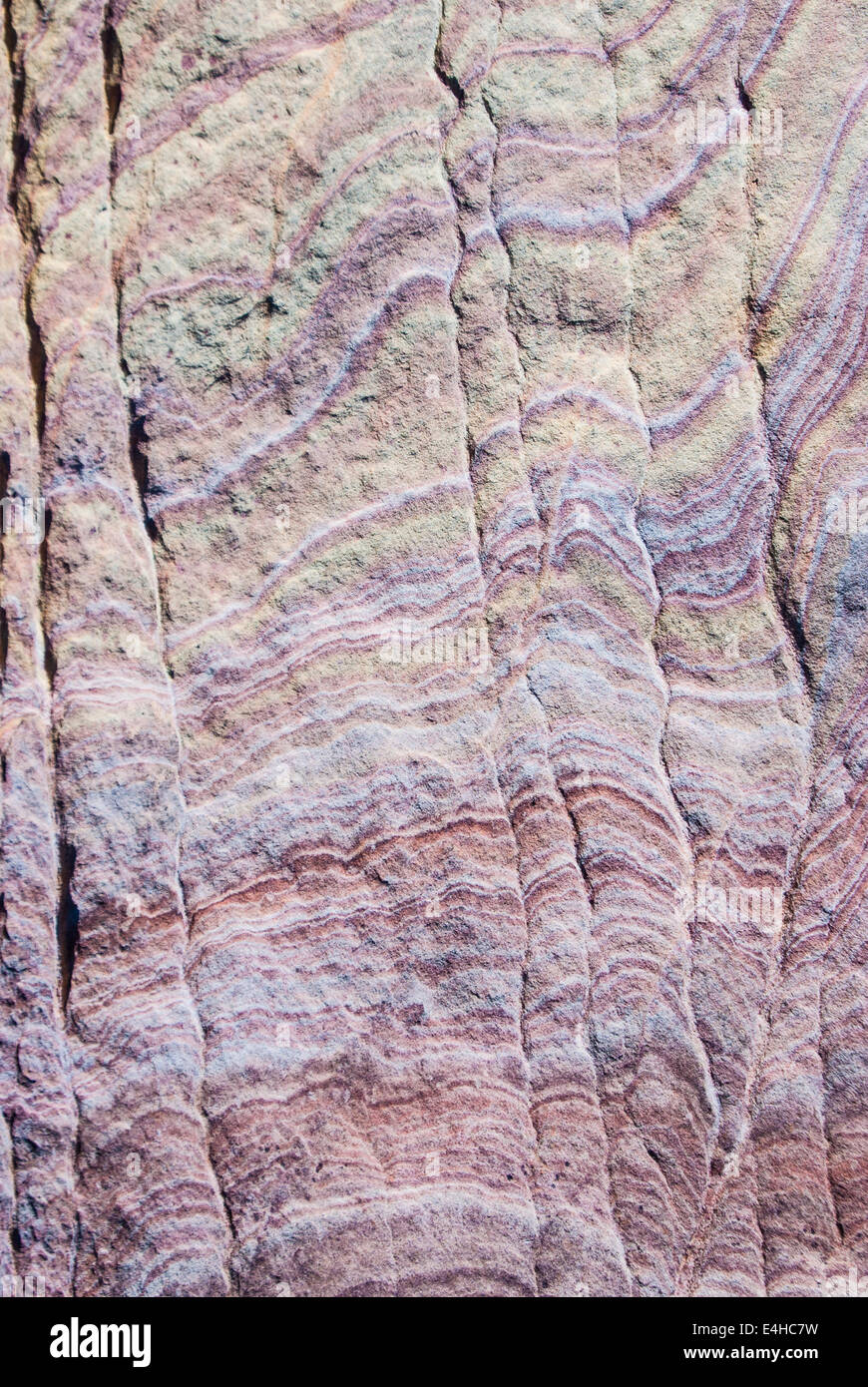 Pared de roca arenisca de remolinos y espinas en tonos tierra Foto de stock