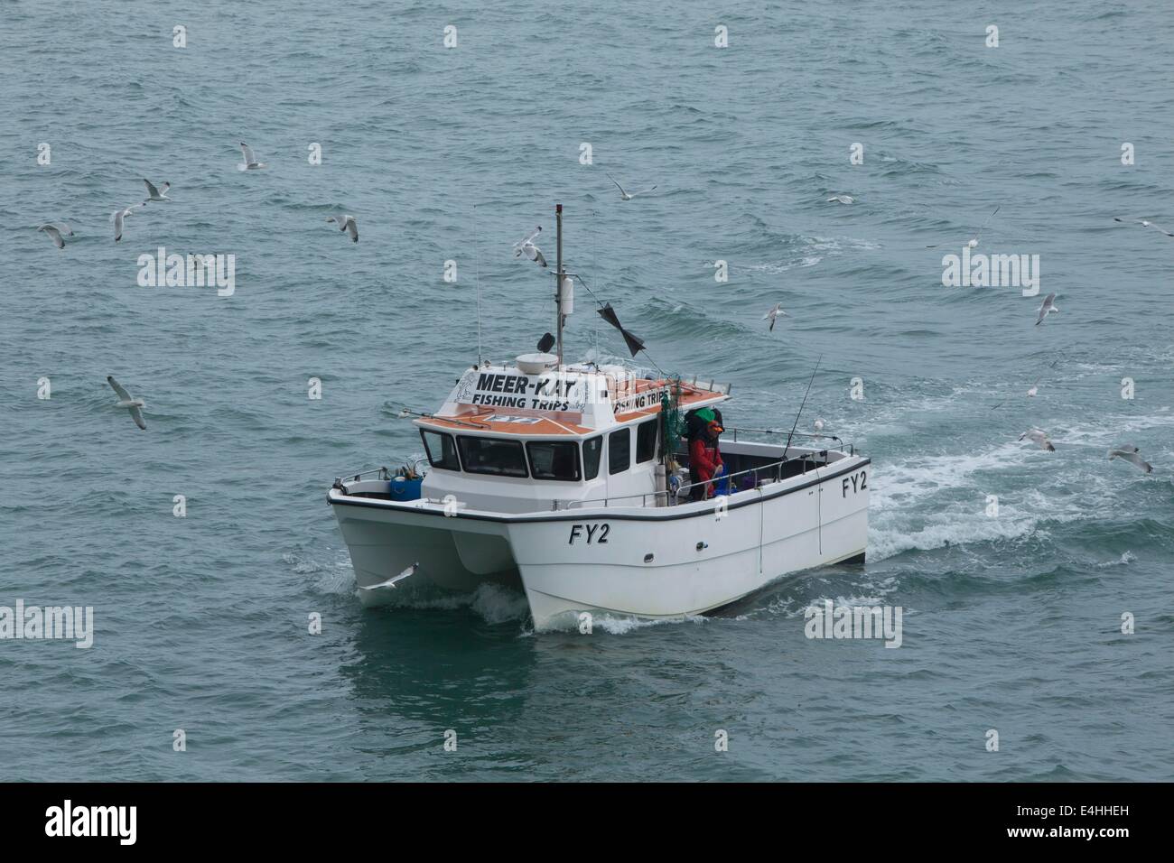 El barco pesquero Meer-Kat que ejecutar viajes forfisher hombres alrededor de la costa en Looe,Cornwall Foto de stock