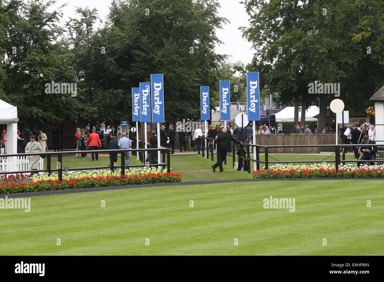 Newmarket, Reino Unido. 12 de julio de 2014. Moet Chandon y Julio Festival, Darley Julio taza al día. La entrada al desfile anillo antes del Racing ha comenzado Crédito: Además de los deportes de acción/Alamy Live News Foto de stock