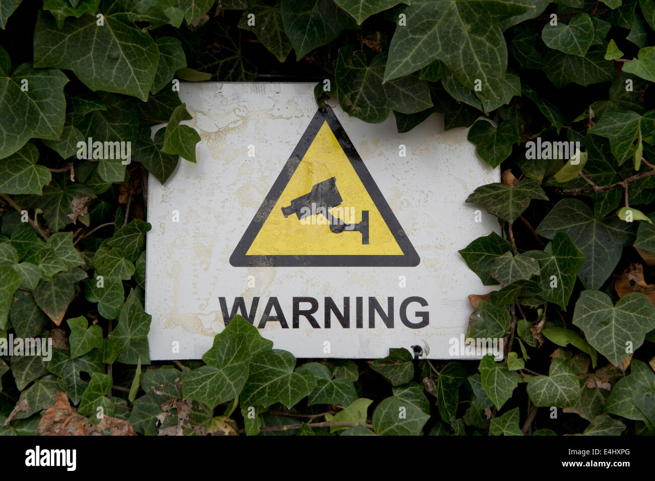 Un signo de advertencia que indica que está en funcionamiento en CCTV parcialmente escondidos detrás de algunas hojas en Manchester, Reino Unido. Foto de stock