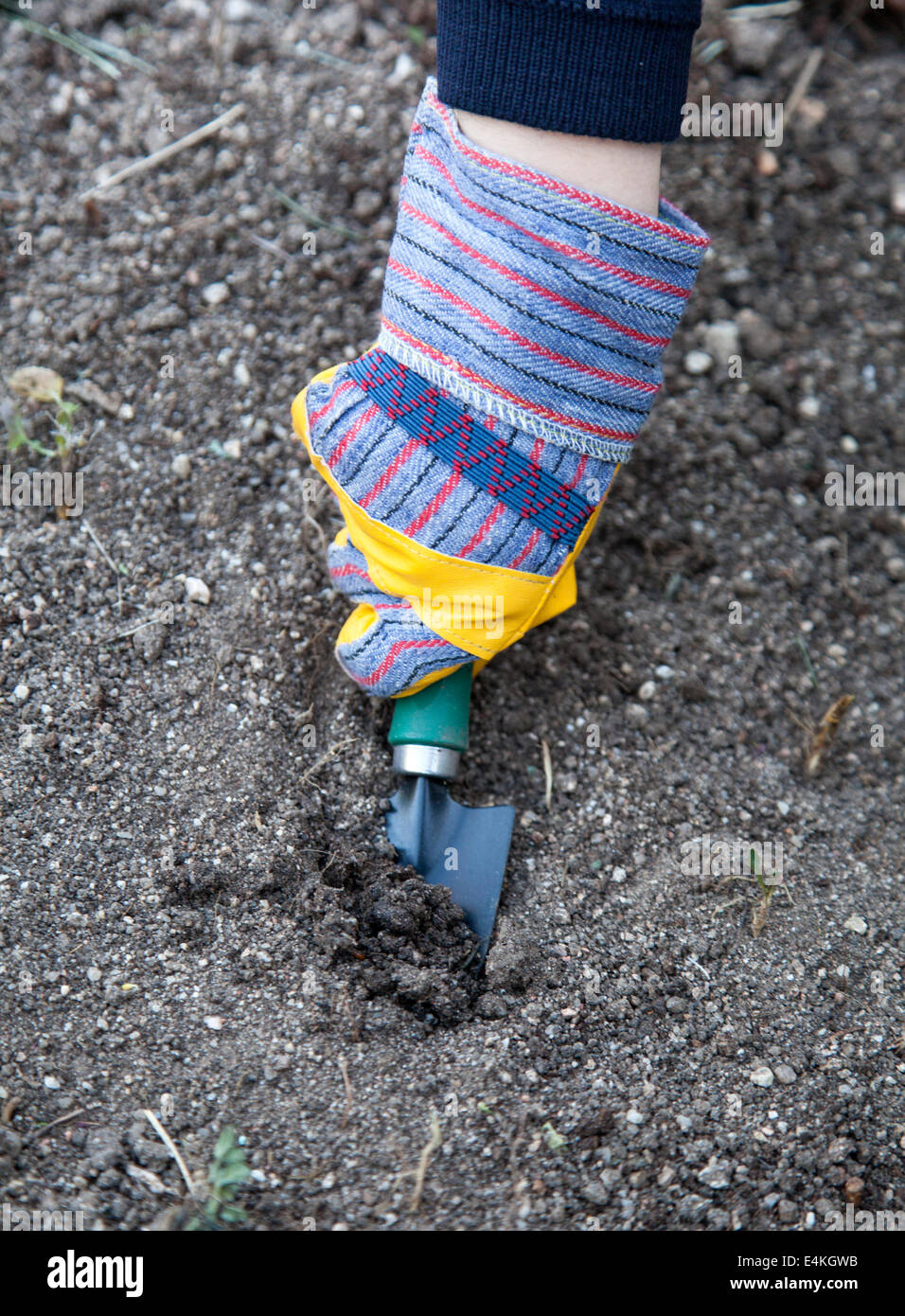 Una mano con guante para niños con una pequeña pala de jardinería. Foto de stock