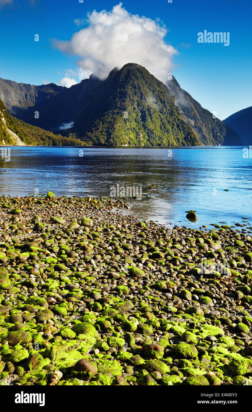 Milford Sound, Isla del Sur, Nueva Zelanda Foto de stock