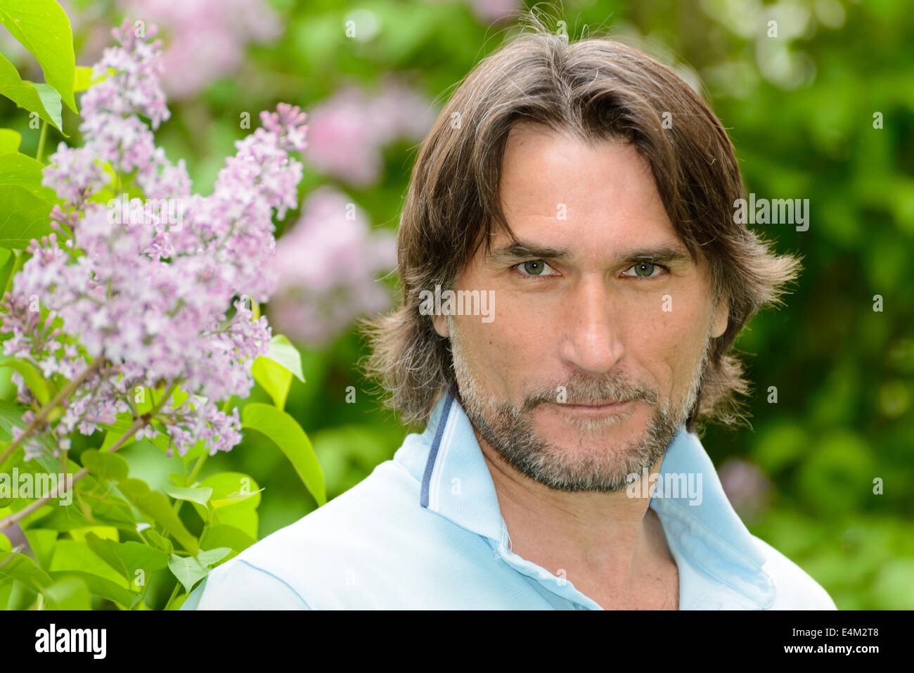 Hombre de mediana edad, cerca de blooming lilacs Foto de stock