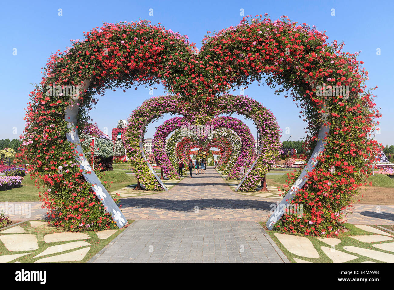 Arcos en forma de corazón cubierto de flores en Dubai's Miracle jardín, jardín de flores natural más grande del mundo Foto de stock