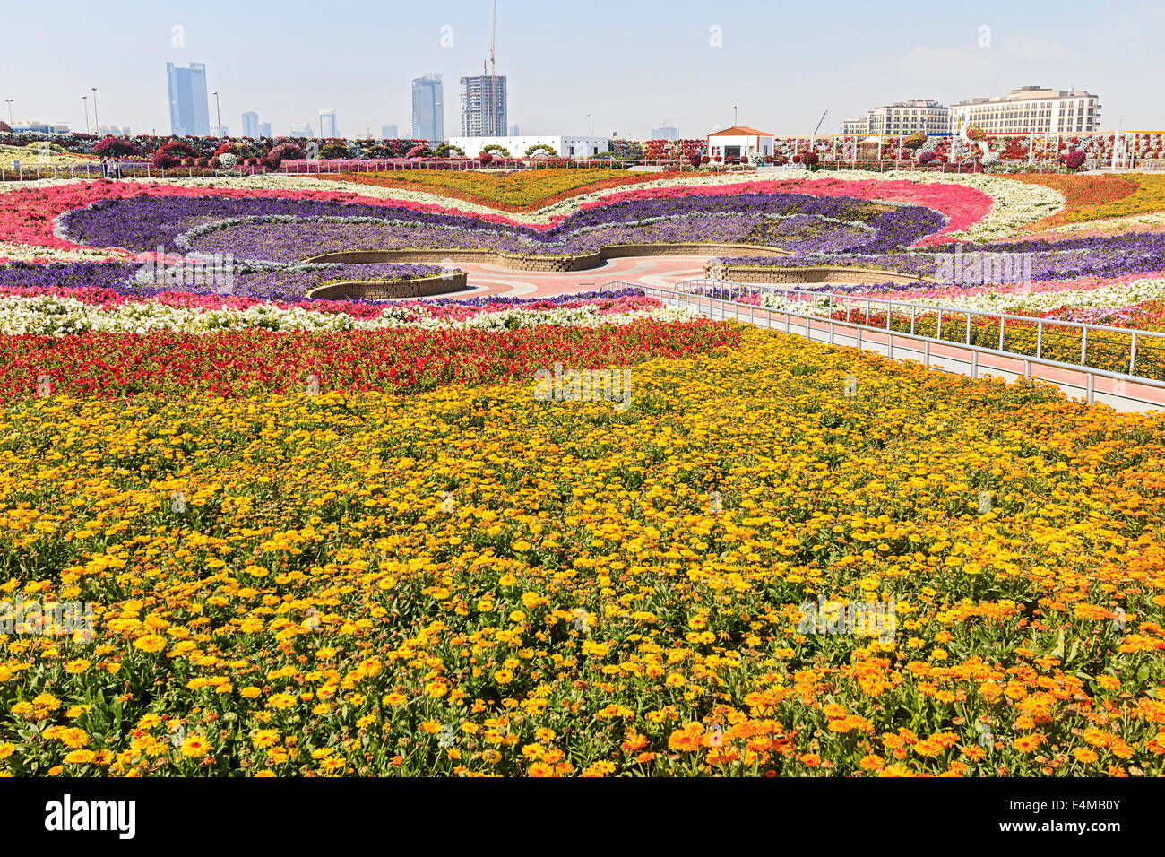 Valle cubierto de flores en Dubai's Miracle jardín, jardín de flores