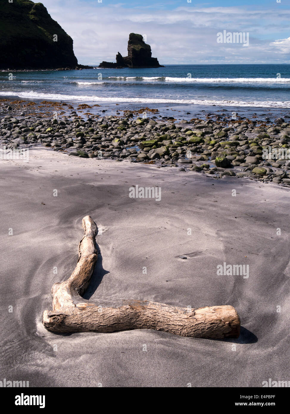 Driftwood en la playa de arena de Talisker Bay, Isla de Skye, Escocia, Reino Unido Foto de stock