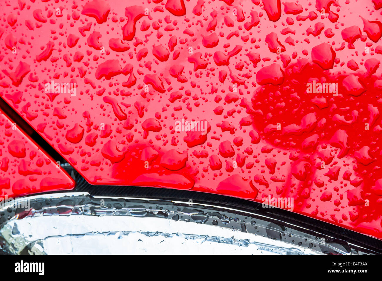 Después de una lluvia las gotas de lluvia sobre el barniz de un coche trickle down. Gotas de agua sobre un fondo rojo, Nach einem Regen perlen Regentrop Foto de stock