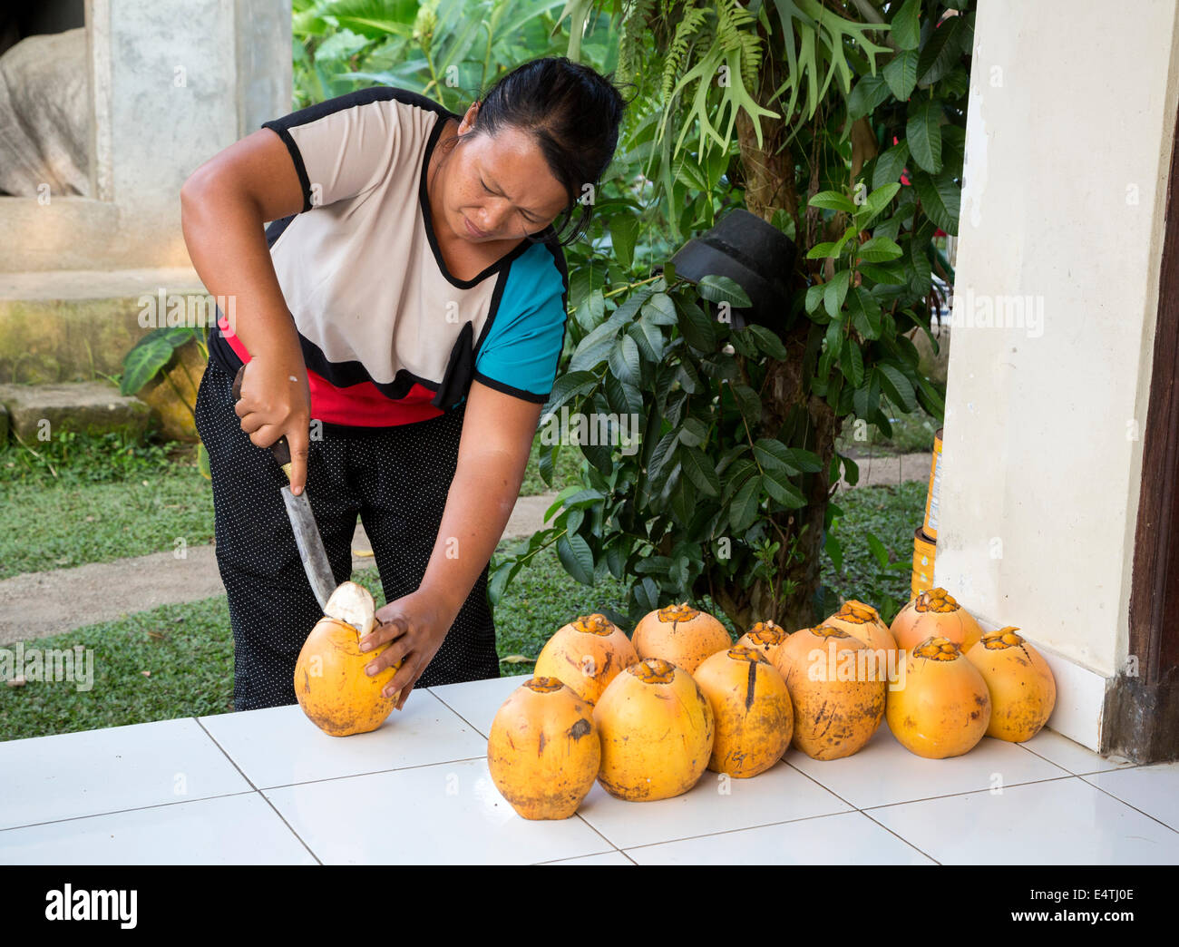 Bali, Indonesia. Mujer abriendo un dulce de coco para los huéspedes. Foto de stock