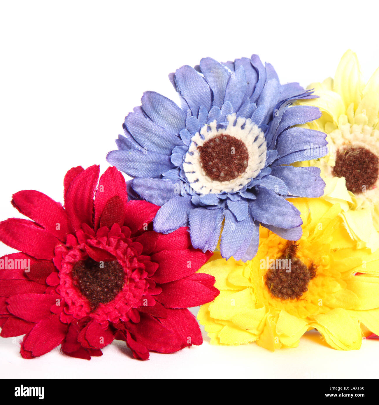 Coloridas flores ornamentales Foto de stock