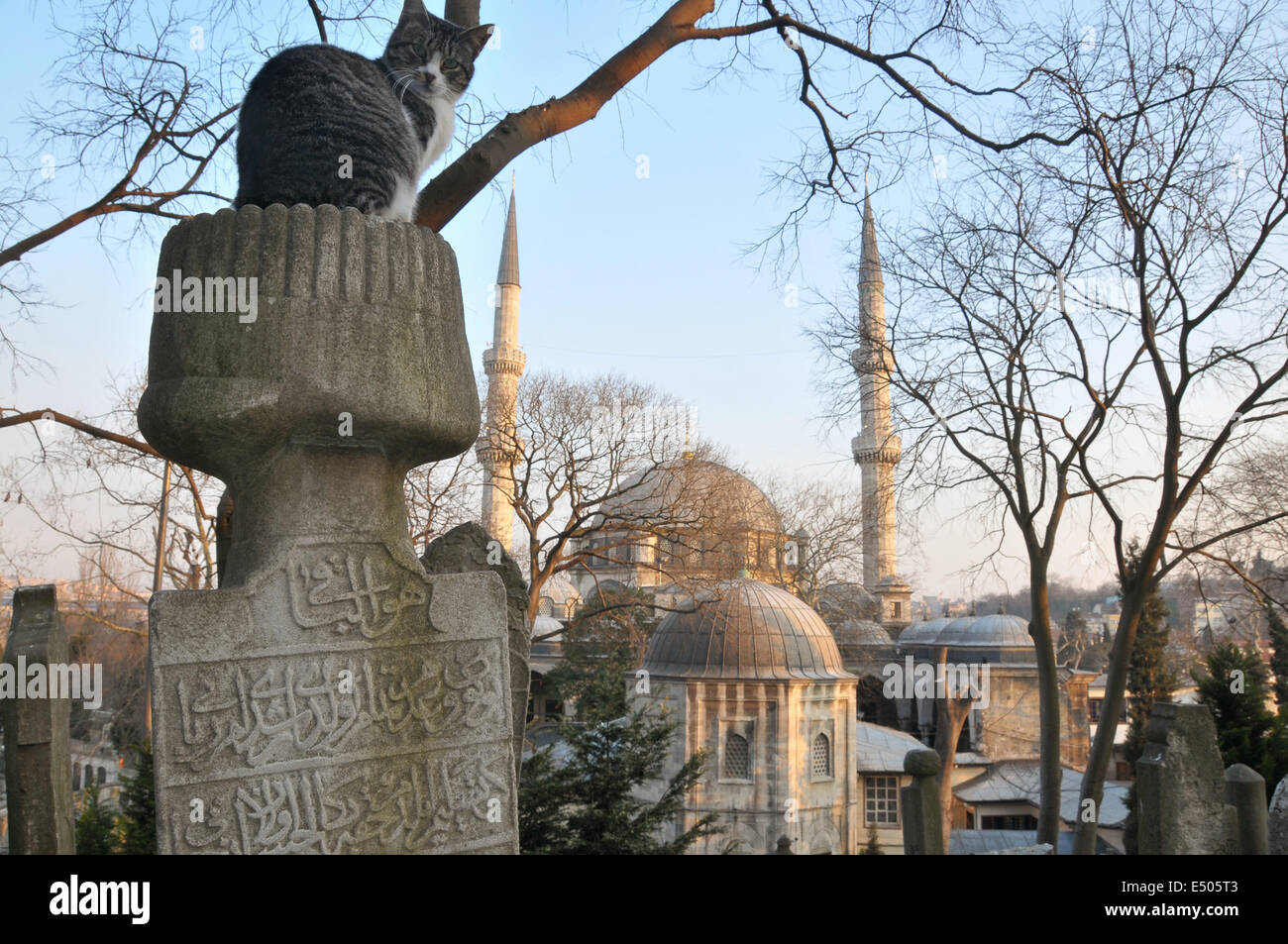 La era otomana lápidas en el cementerio de Eyüp, con la mezquita de Eyüp en el fondo. Foto de stock