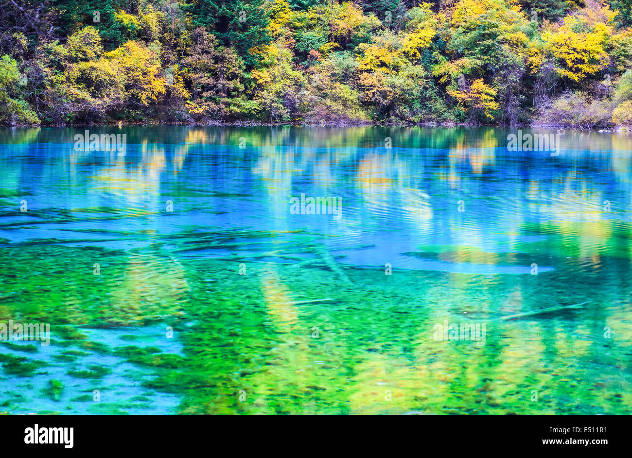 Colores brillantes sobre la superficie del lago Foto de stock