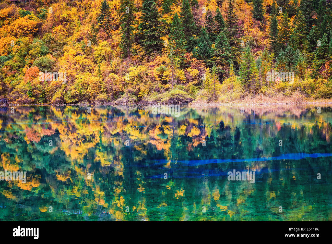 Colores de otoño en el lago Foto de stock