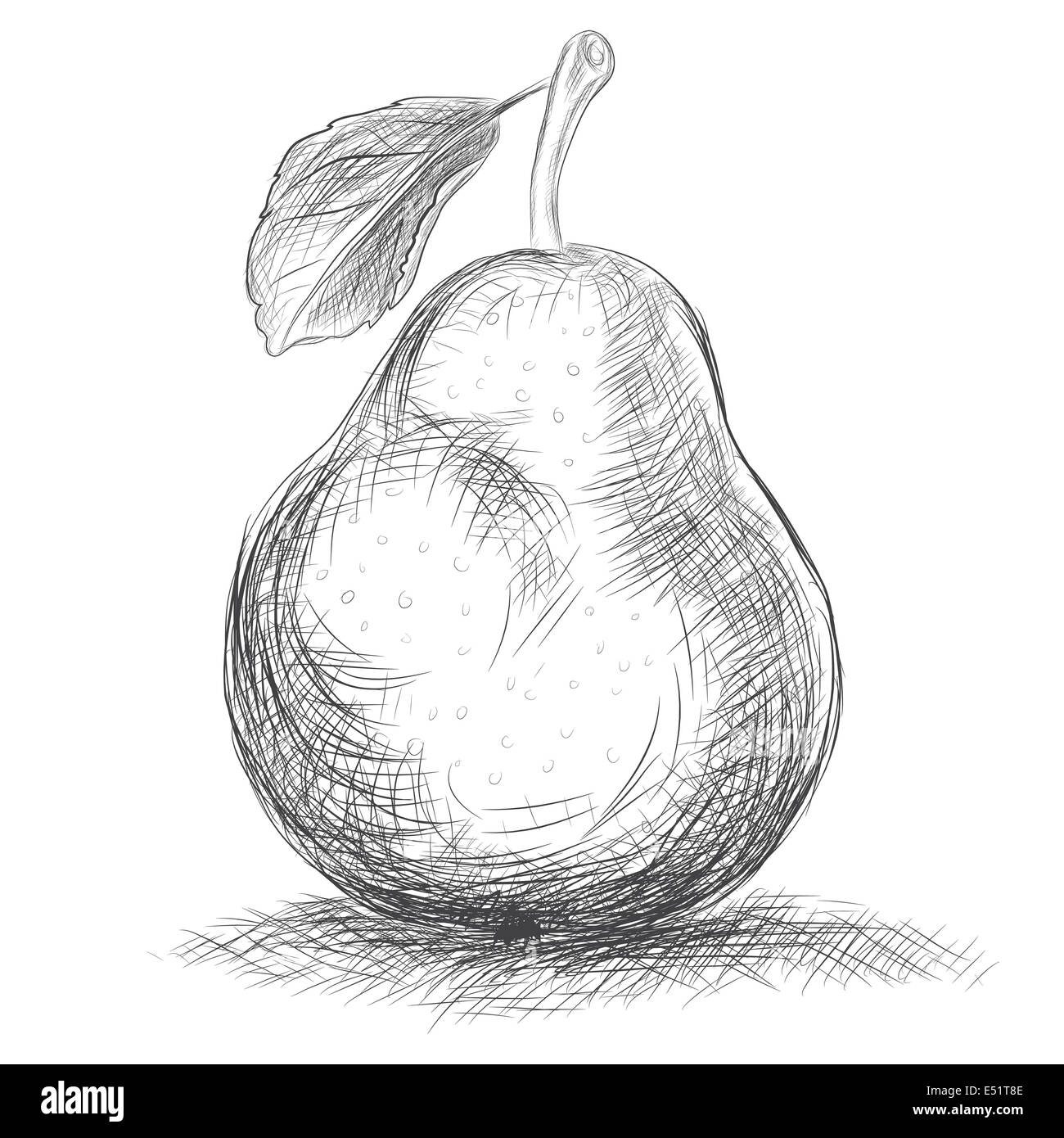 Hand drawing pear Imágenes recortadas de stock - Alamy