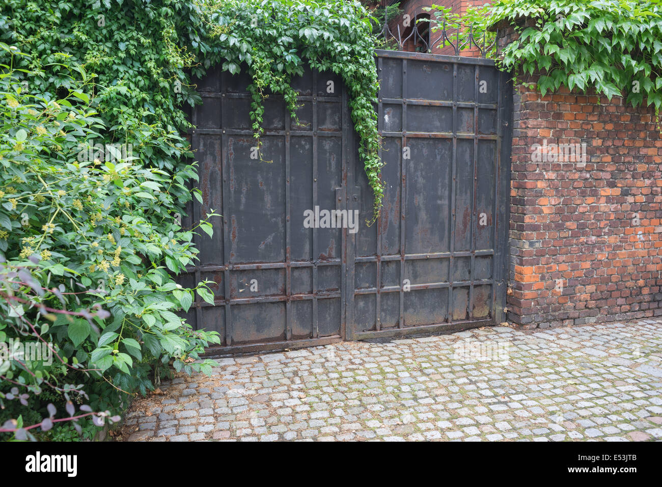 Antigua puerta de hierro cubiertos con reductor Kanonia Street Wroclaw Foto de stock