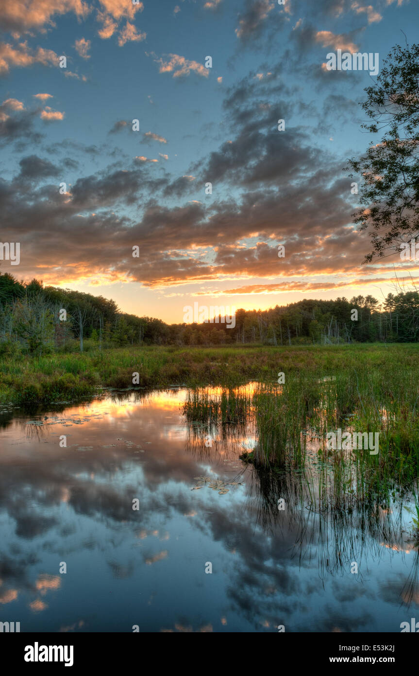 Atardecer en un pantano de agua dulce en Topsfield, Massachusetts Foto de stock