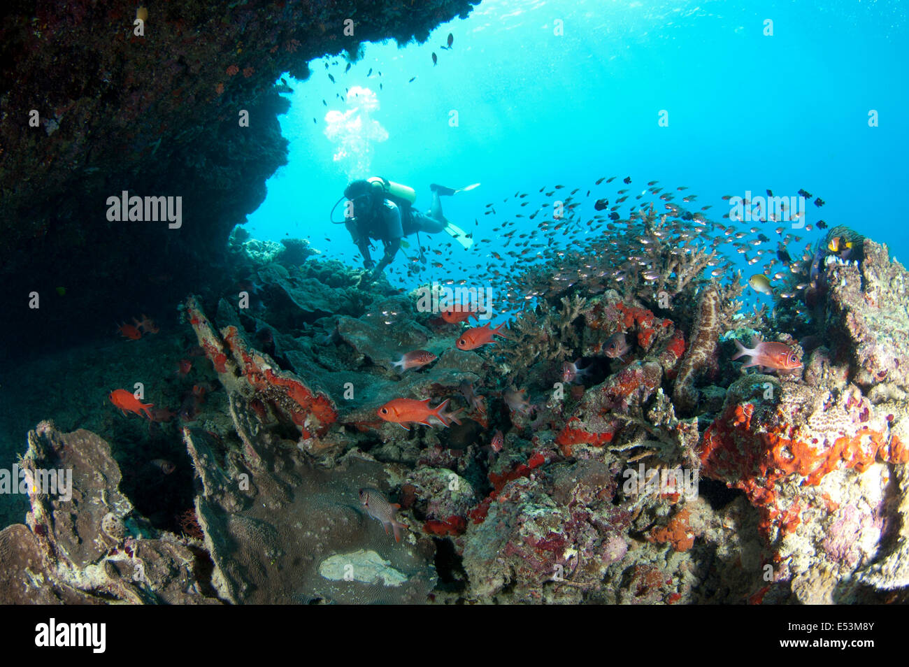 Buceador flotando fuera una gran cueva en Rinbudhoo arrecife, Dhaalu Atoll en Maldivas Foto de stock