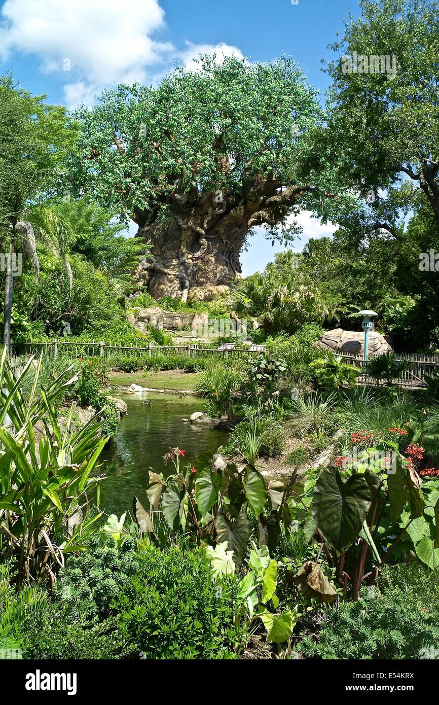 Disney's Animal Kingdom Foto de stock