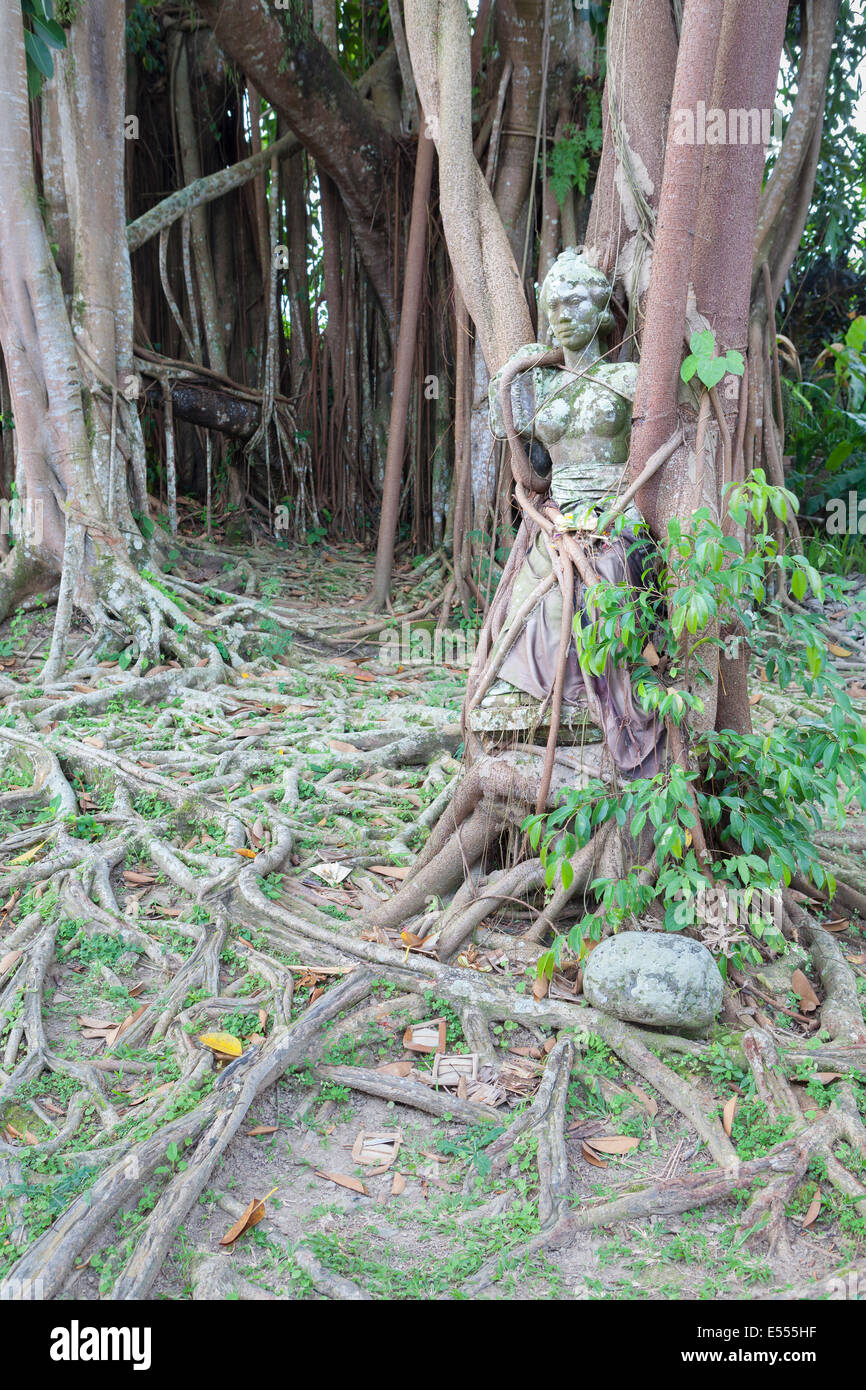 Mujer balinesa, una estatua de Louis van der Noordaa atrapado en las raíces de un árbol bodhi en los jardines del museo de Puri Lukisan Foto de stock