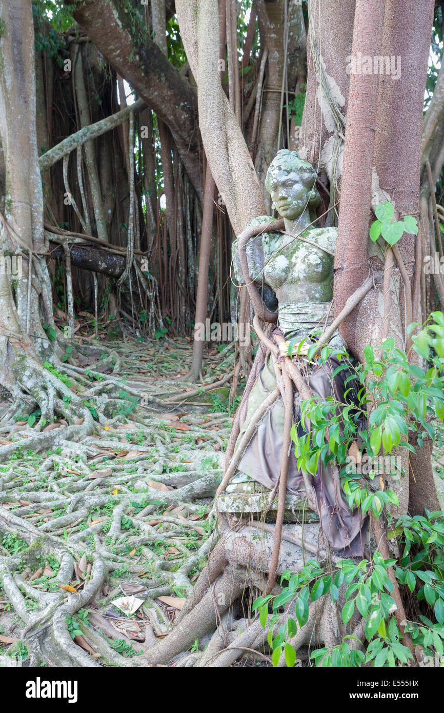 Mujer balinesa, una estatua de Louis van der Noordaa atrapado en las raíces de un árbol bodhi en los jardines del museo de Puri Lukisan Foto de stock