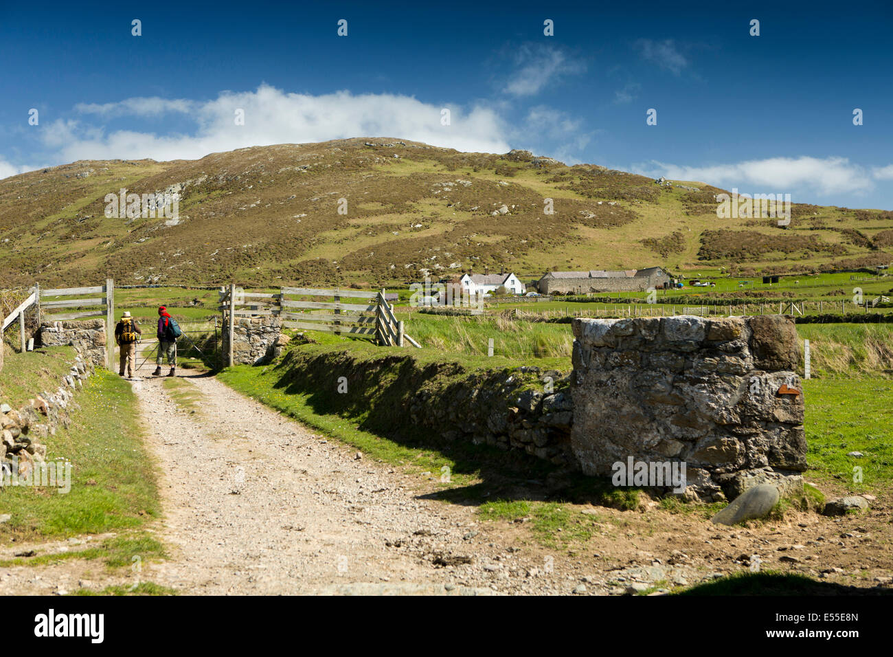 Reino Unido, el País de Gales, Gwynedd, Península de Lleyn, Aberdaron, la isla Bardsey, los visitantes caminan hacia Mynydd Enlli Foto de stock